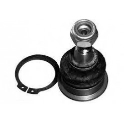 Sworzeń dolny wahacza przedniego zawieszenia Nissan Primera P12