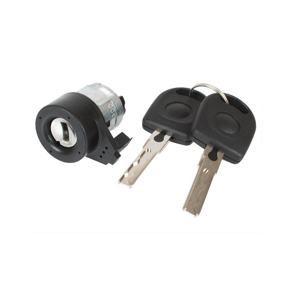 Wklad stacyjki Skoda Octavia, Fabia