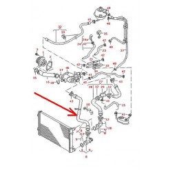 Wąż gumowy,przewód chłodnicy DOLNY Audi A3,Seat Leon,Toledo II,Skoda Octavia I,VW Bora,Golf IV 1.4 16V