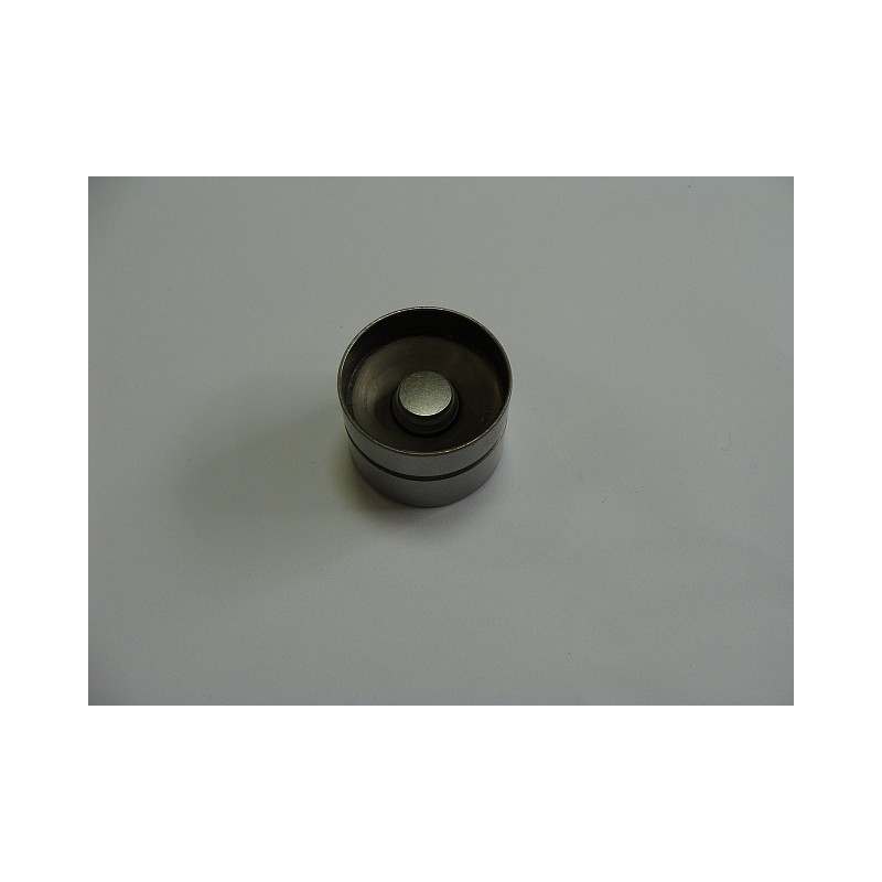 Hydrauliczny popychacz zaworu silnika Audi, Seat, Skoda, Ford, VW