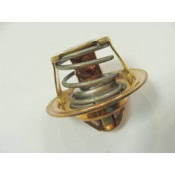 Termostat środka chłodzącego Audi, Ford, Seat, VW