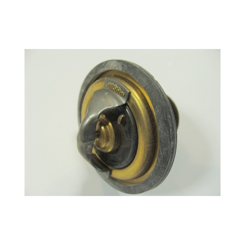 Termostat Citroen Jumper, Fiat Ducato, Opel Movano, Peugeot Boxer 