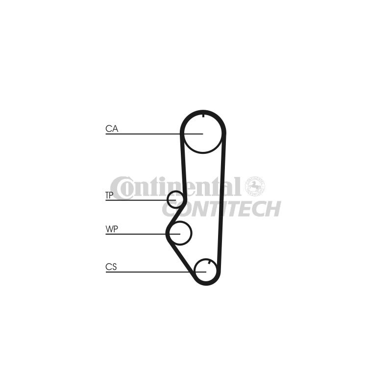 Conti pasek rozrządu 92zęby Ford 1.1-1.3 